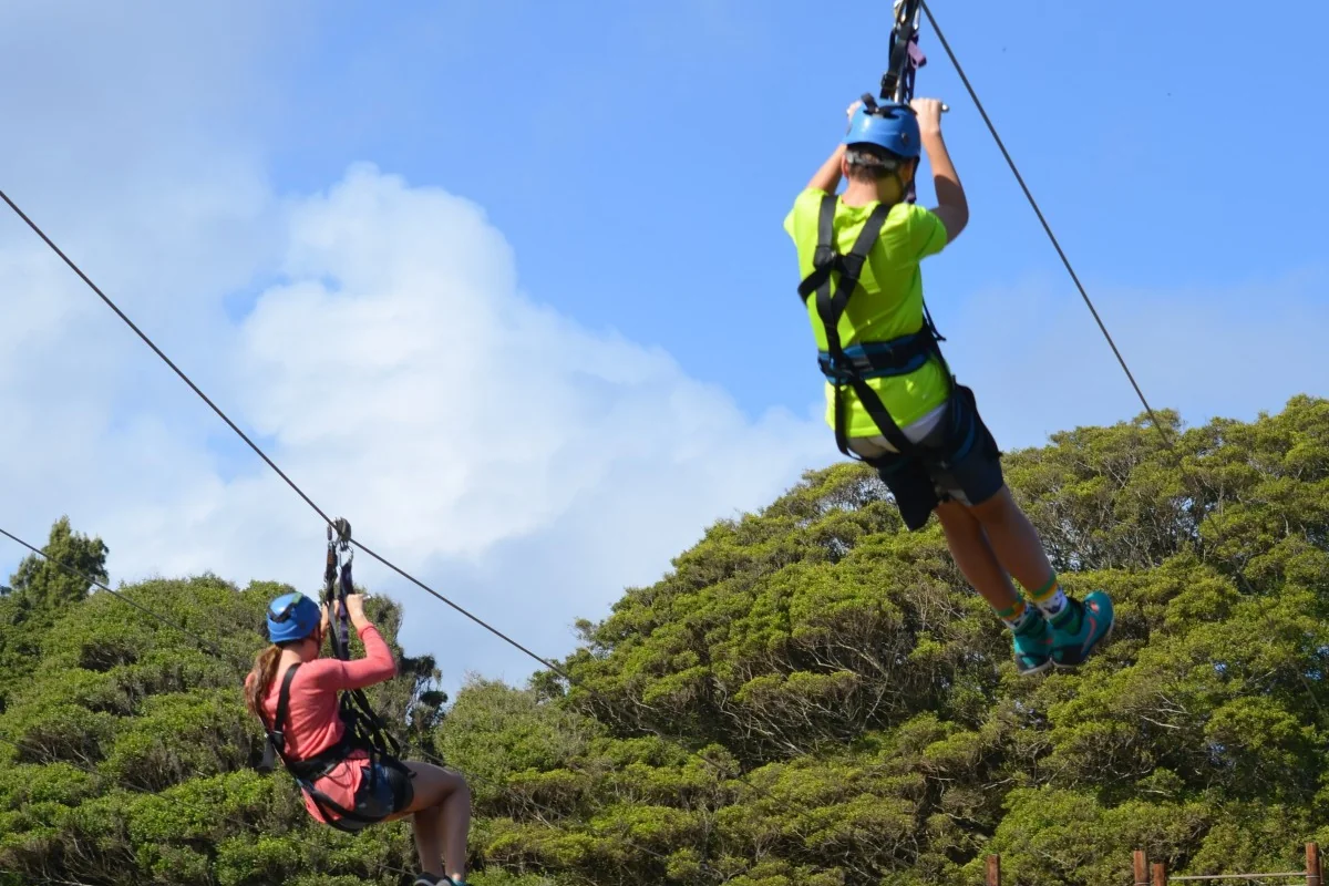 Visitor on a zipline above trees at an adventure park — representative photograph