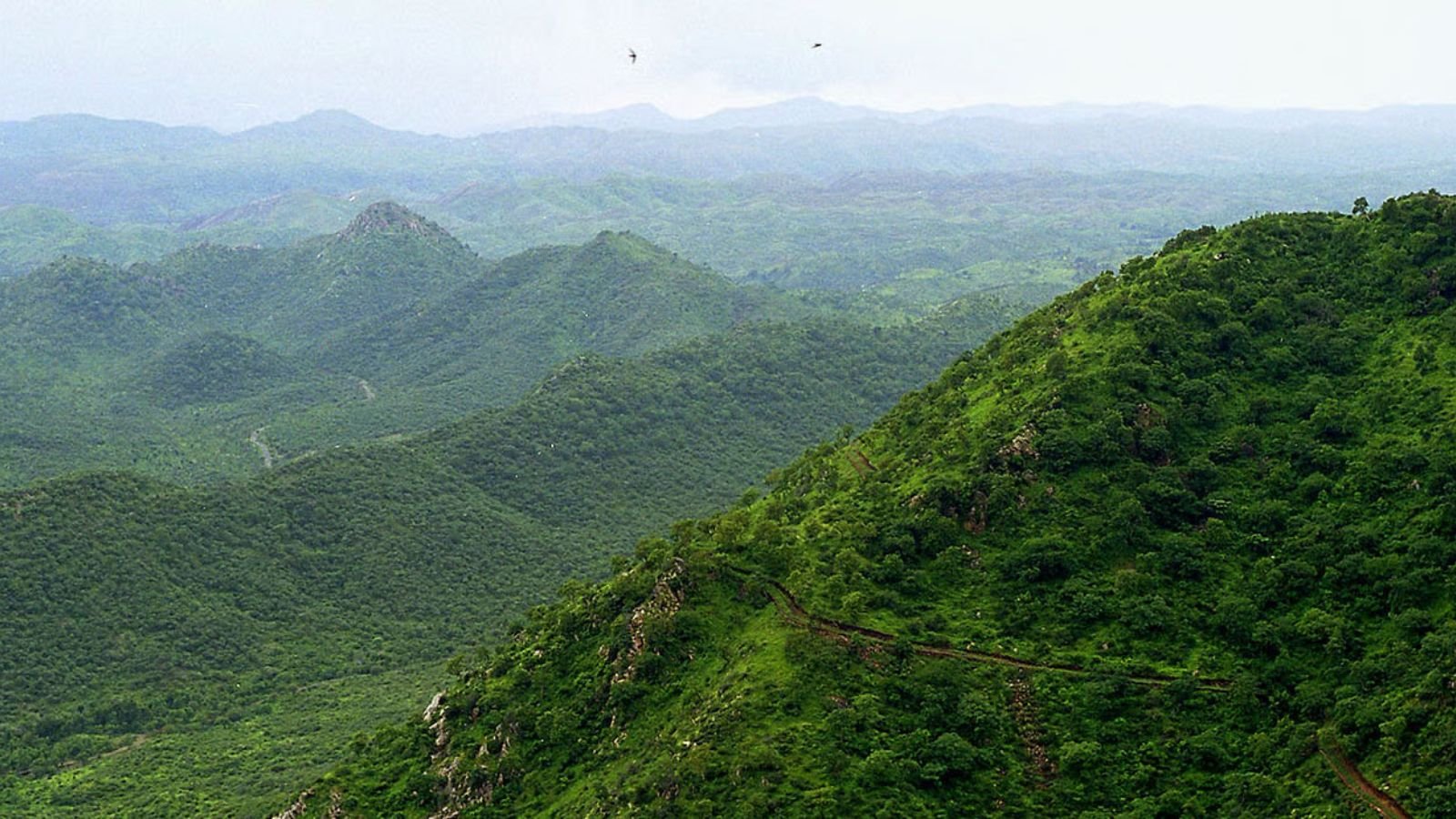 Aravalli hills landscape around Sohna, Haryana