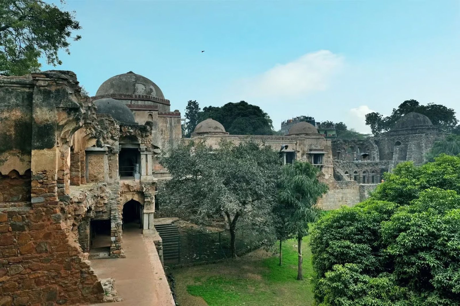 Tree cover and walking trail at Deer Park, Hauz Khas, Delhi