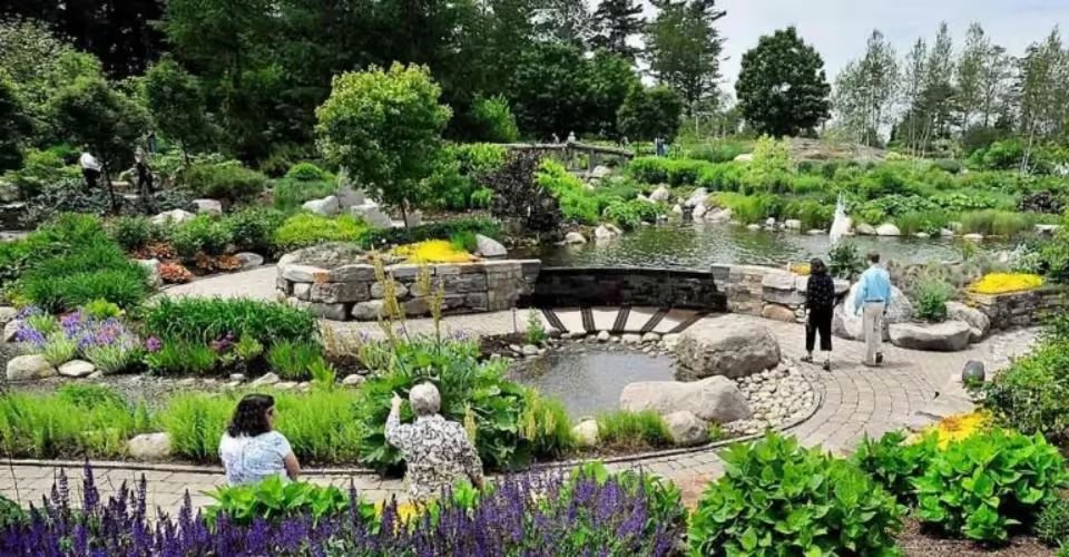 Landscaped garden with water features at the Garden of Five Senses, Saket, Delhi