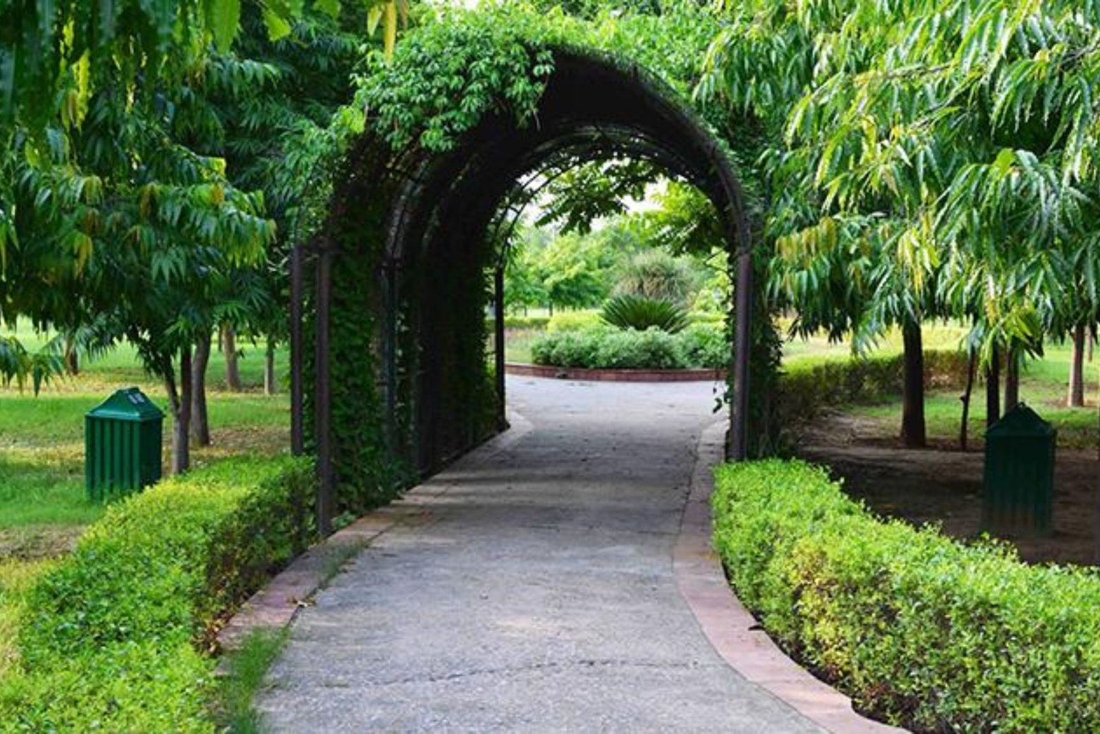 Japanese Park (Swarn Jayanti Park)