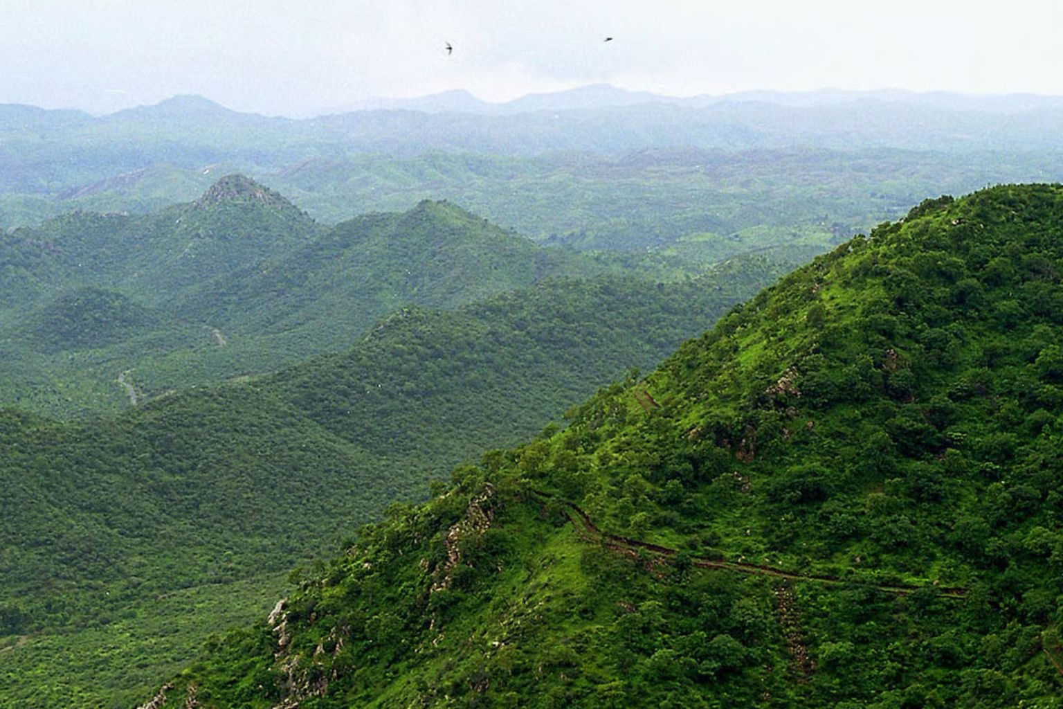 Aravalli hills landscape around Sohna, Haryana