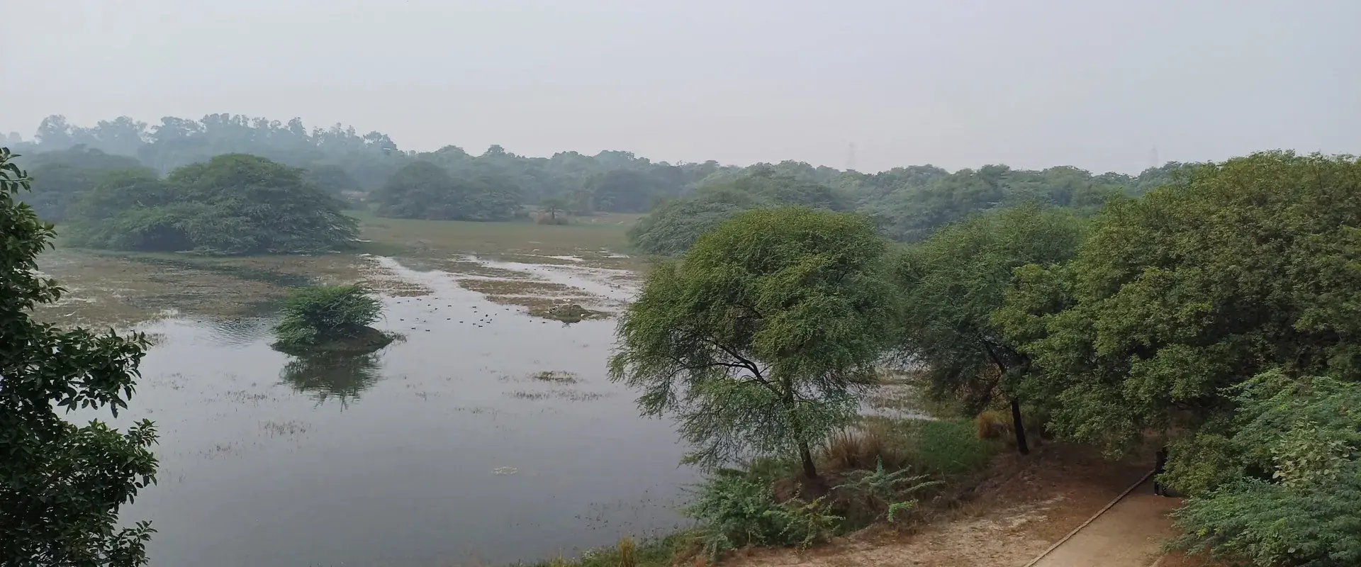 Wetland and reed beds of Sultanpur National Park seen from one of the park's watch towers