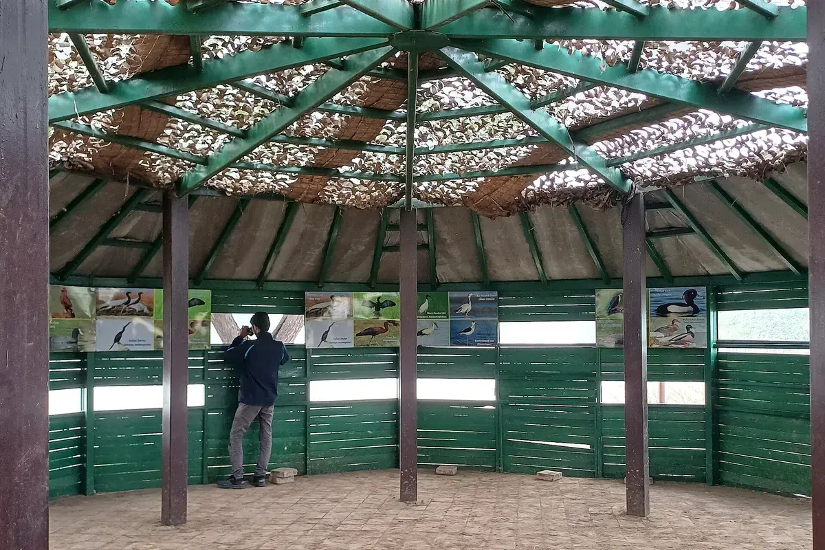 Wooden bird hide overlooking the wetland at Sultanpur National Park