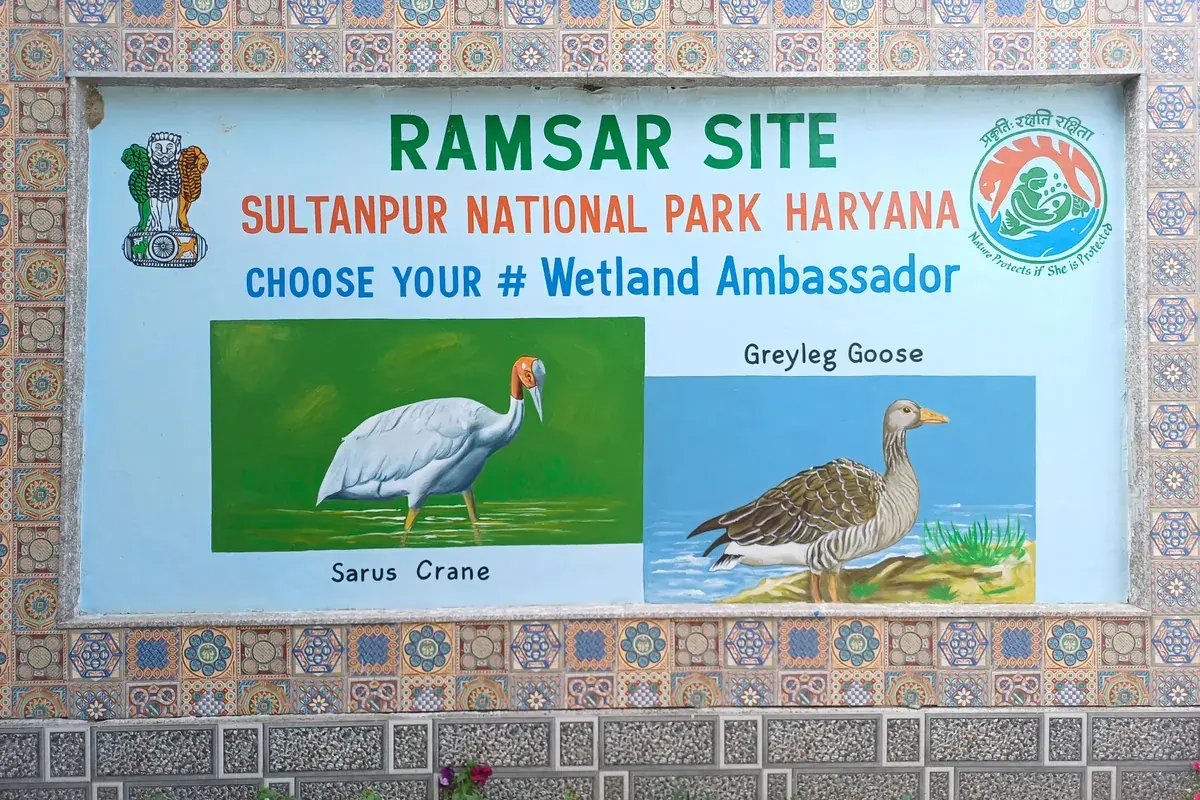 Information board at Sultanpur National Park recording its designation as a Ramsar wetland site