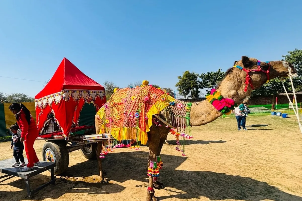 Decorated camel cart ride, one of the outdoor attractions at Wildvadi Theme Park