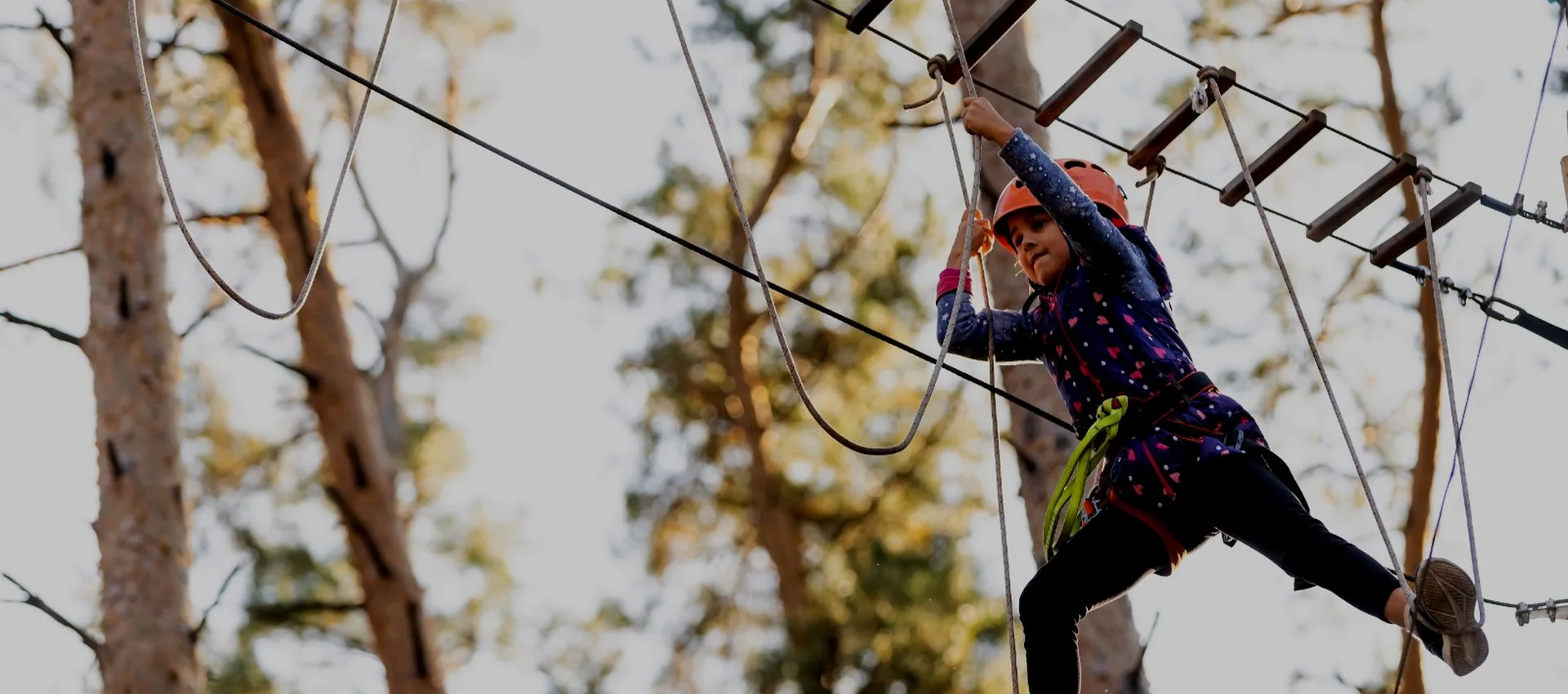 Visitor crossing an adventure rope course among trees at Wildvadi Theme Park in Gurgaon